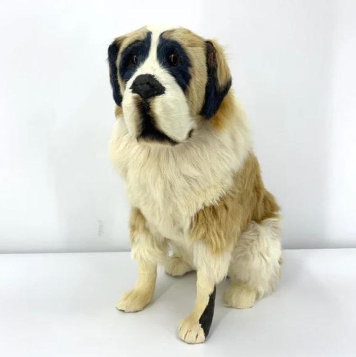 Stuffed Taxidermy Vintage Saint Bernard